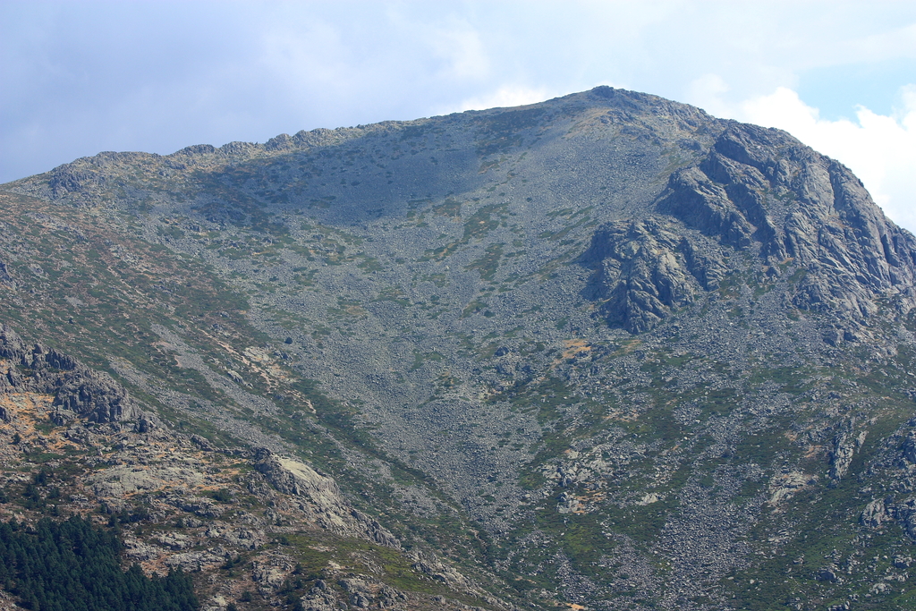 El Abeto